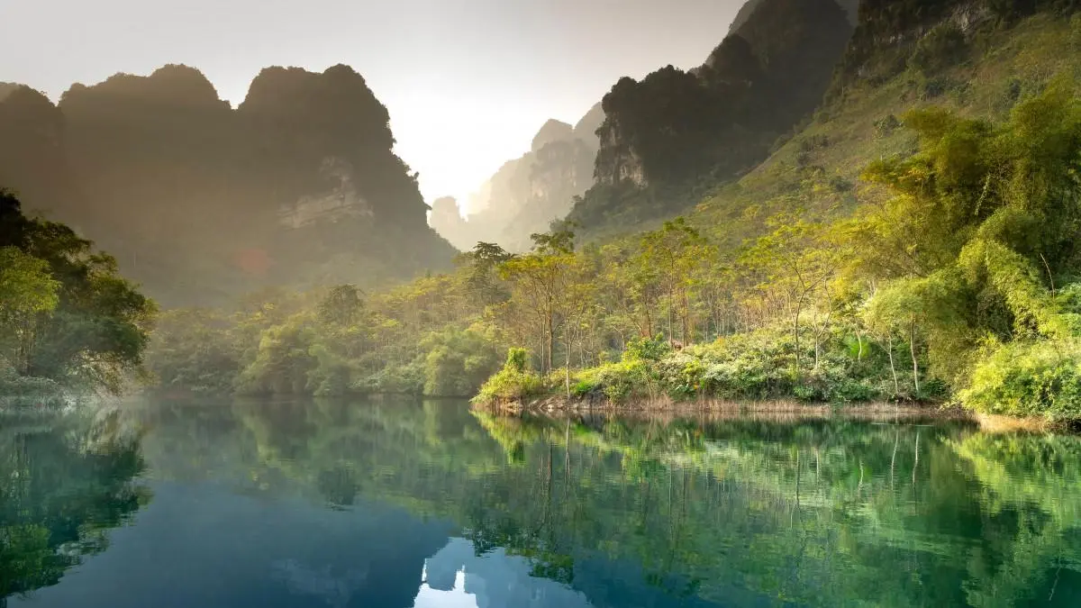 智能系统高端高质量